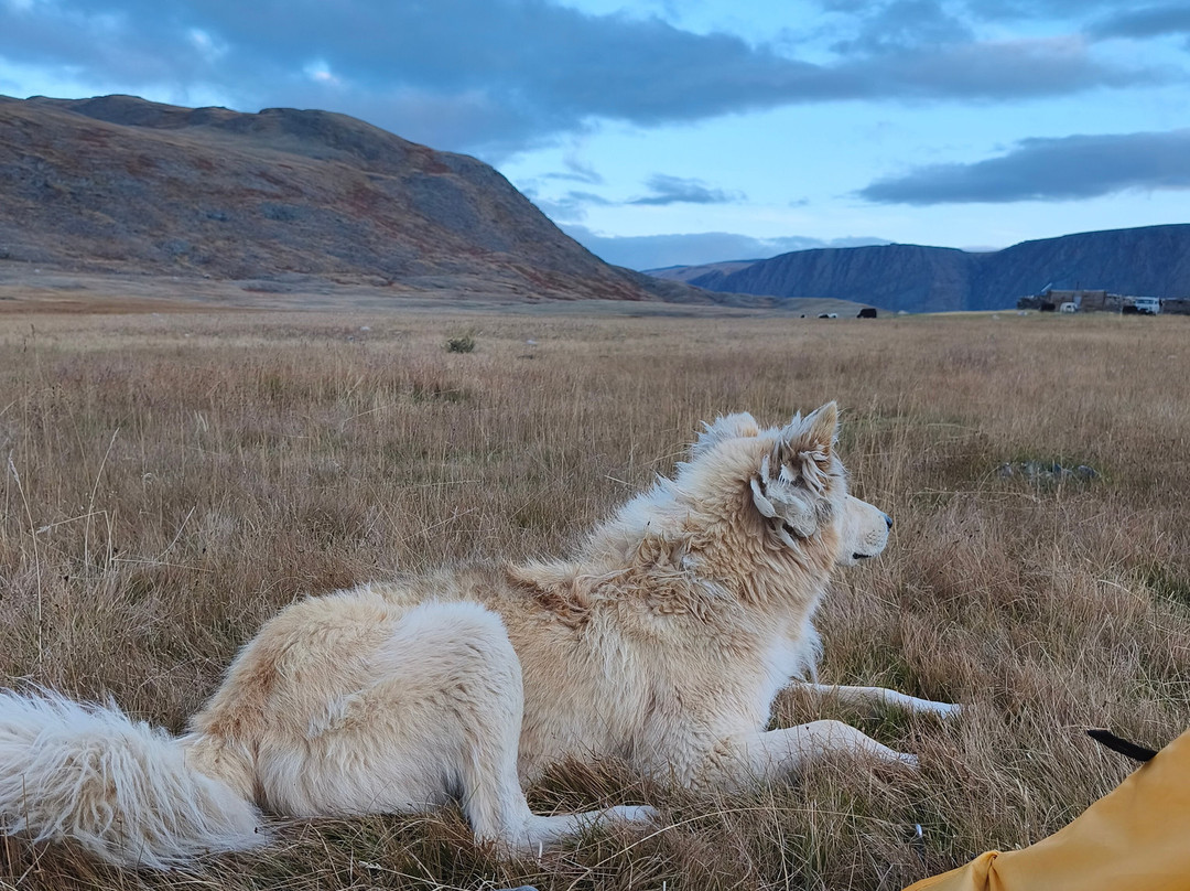 Altai Nomads Travel-Olgiy必去景点