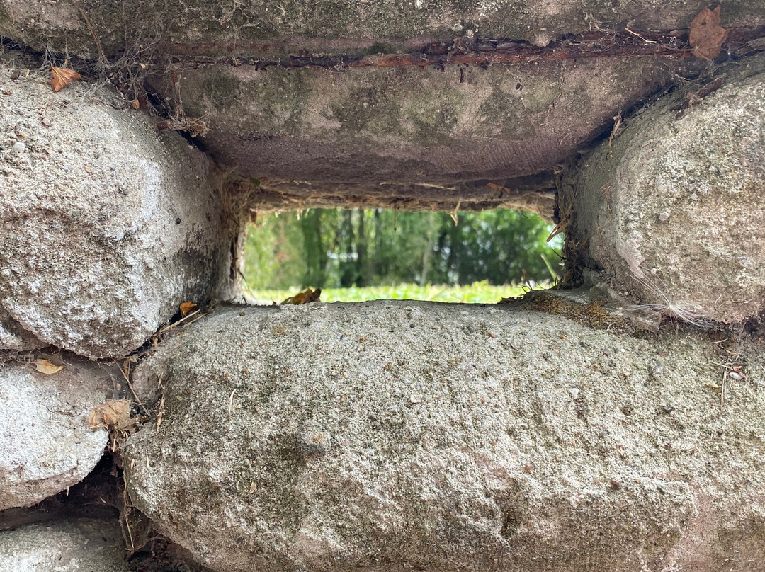 Yorkshire Trench and Dugout-Boezinge必去景点