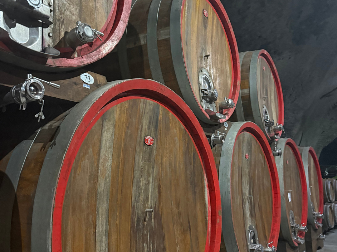 Wine Cellar Šipčanik, 13.jul Plantaže-Tuzi必去景点