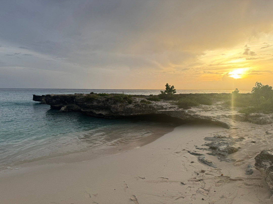 Smith Cove-大开曼岛必去景点