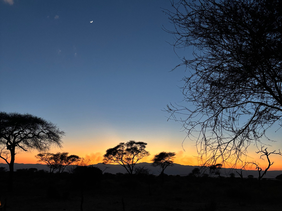 Trip Quest Safaris-阿鲁沙必去景点