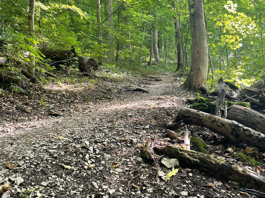Burg Hohenneuffen-Neuffen必去景点