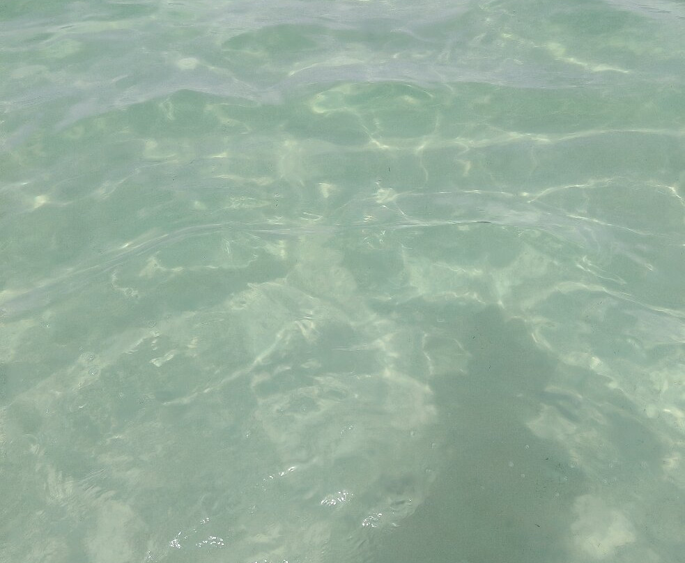 Platja Des Pujols-福门特拉岛必去景点