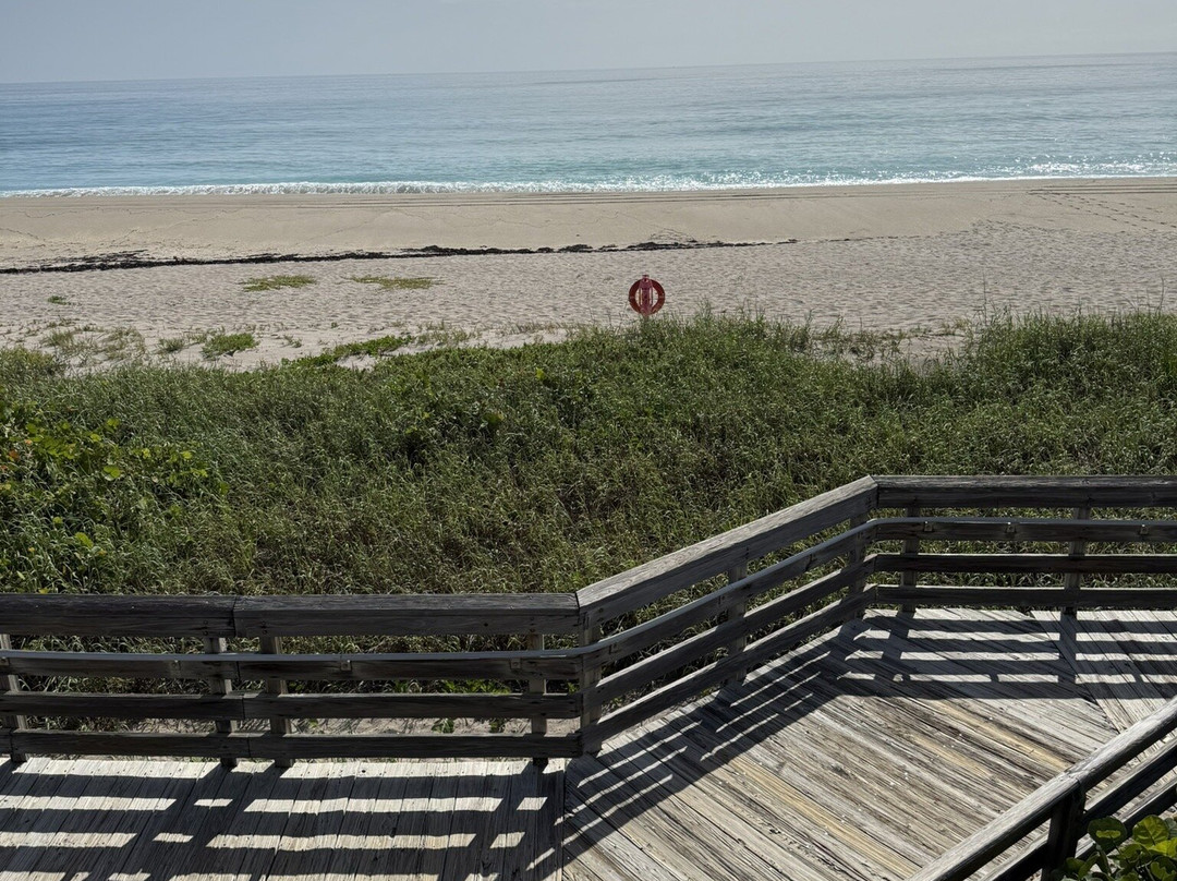 John D. MacArthur Beach State Park-North Palm Beach必去景点