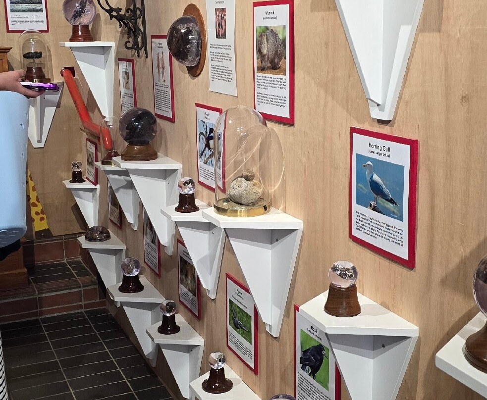 National Poo Museum-桑当必去景点