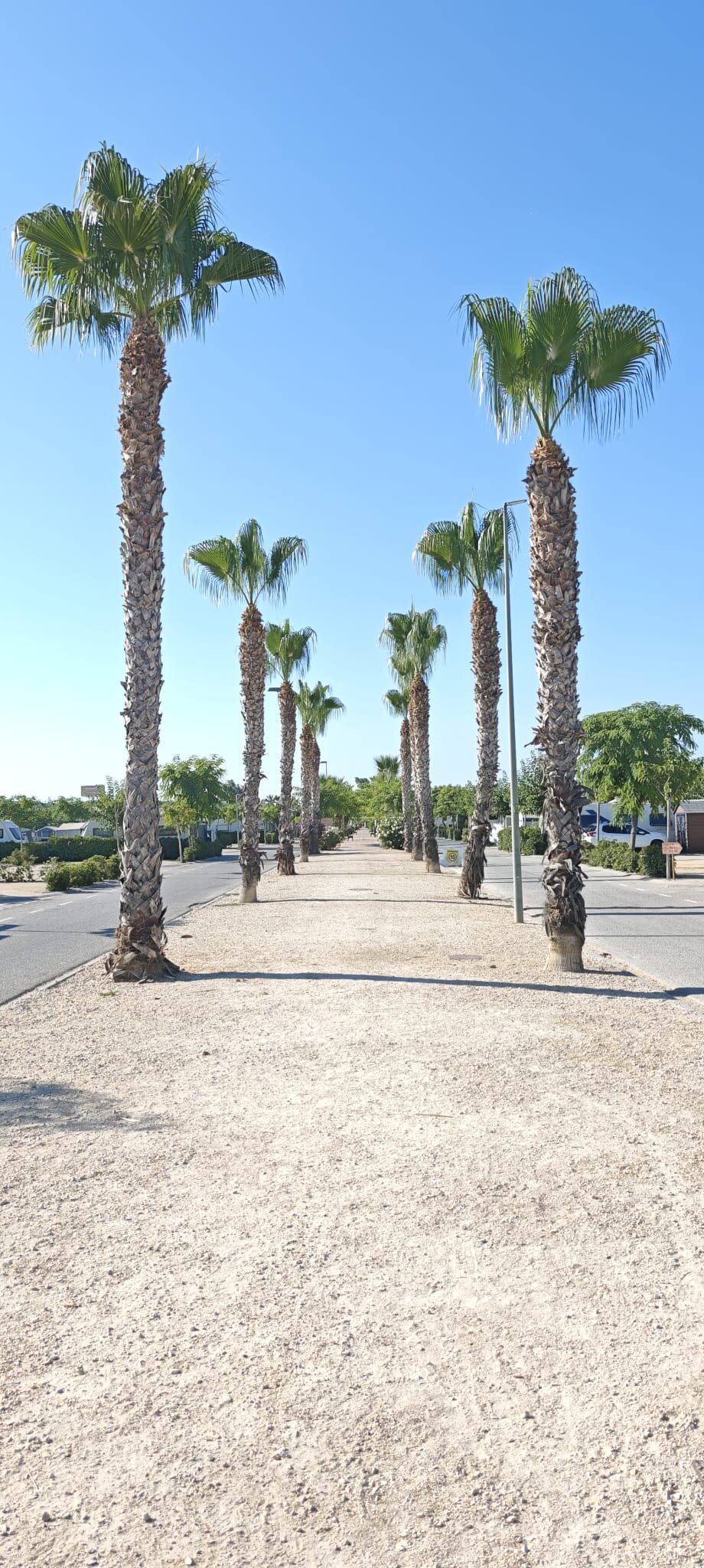 Alannia Costa Blanca-浴室