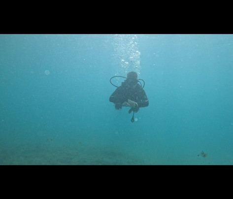Brothers Diving Gran Canaria-San Agustin必去景点