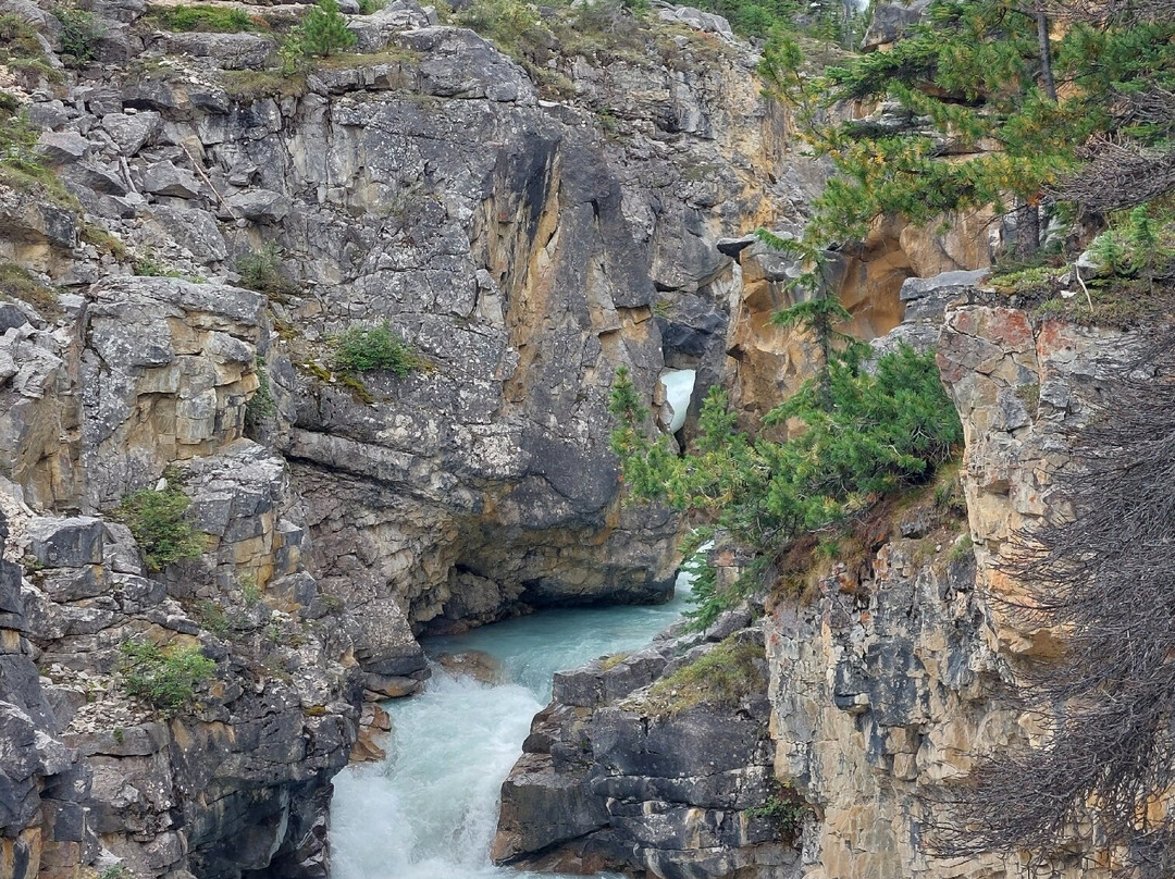 Bow Glacier Falls Trail-路易斯湖必去景点