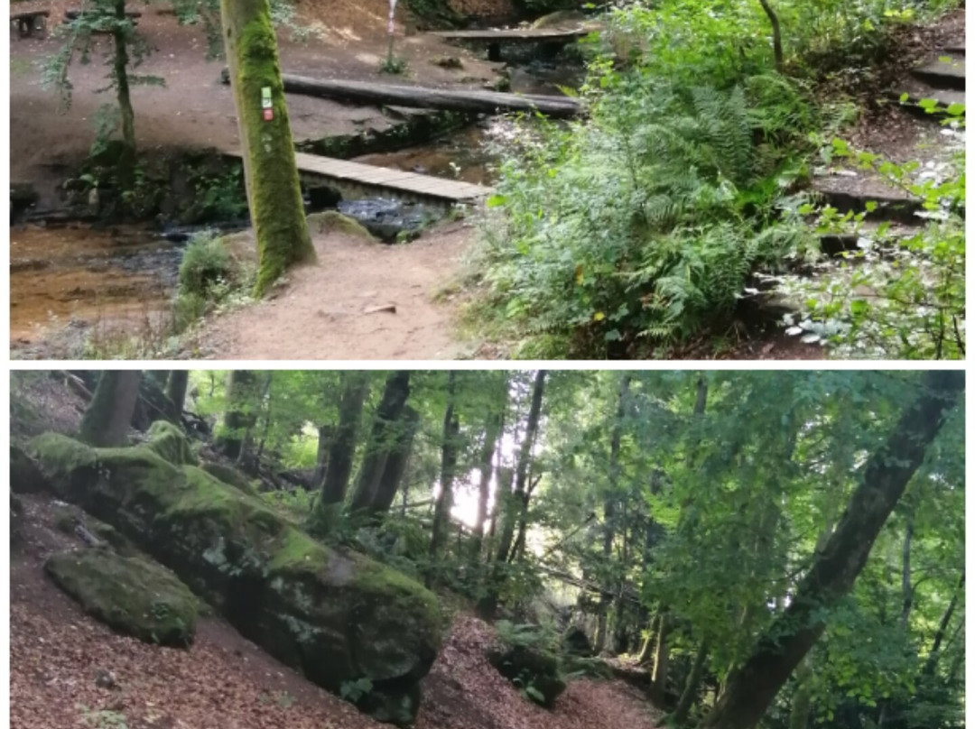 Karlstalschlucht-Trippstadt必去景点