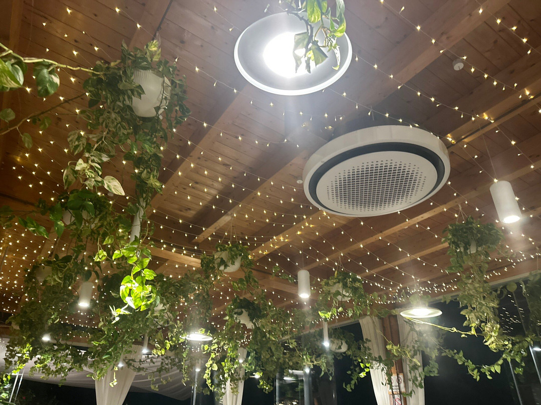 Il Macello Di Bolgheri