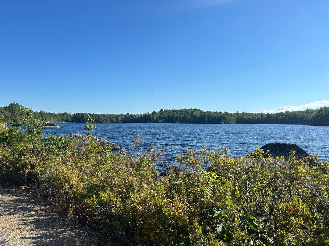 Revolution Rail Co. Jenkins Beach-Dedham必去景点