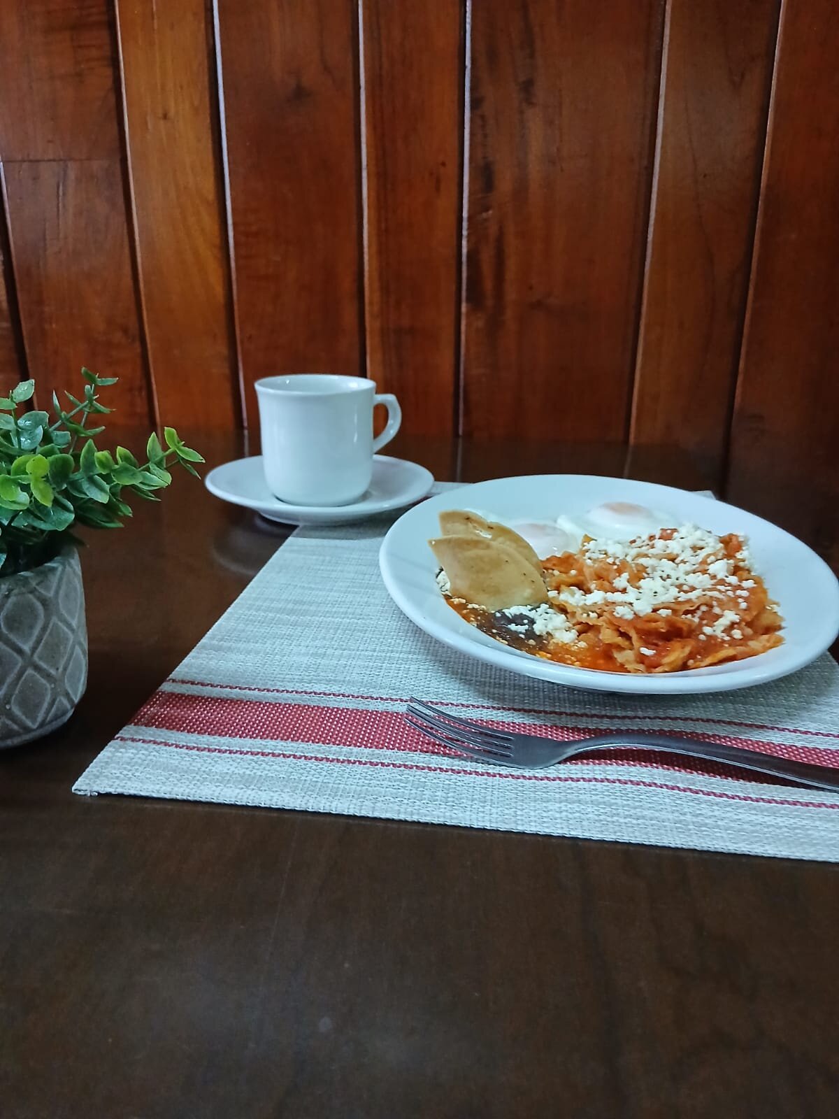 Hotel Plaza Palmas-餐饮