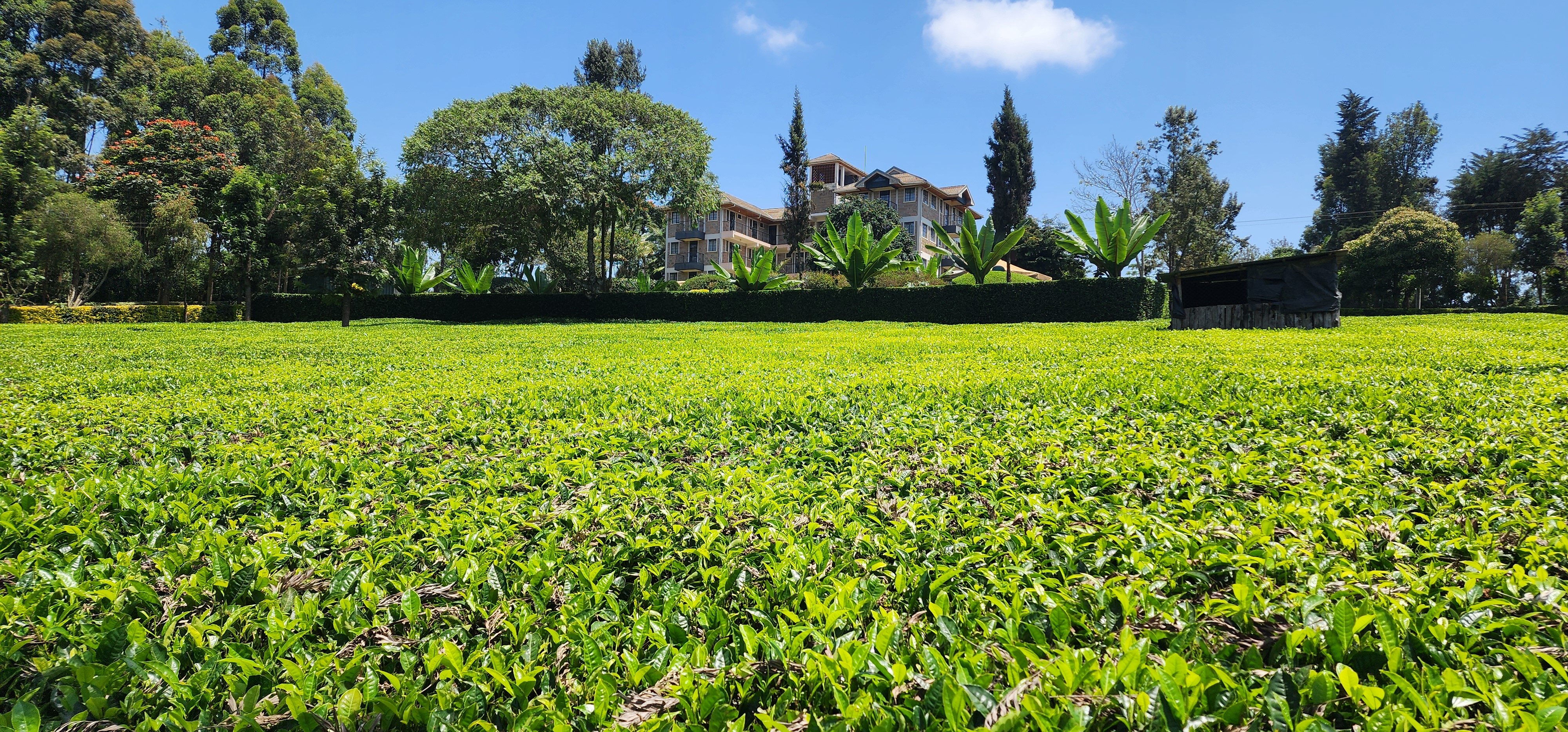 Goshen Farm Hotel-官方