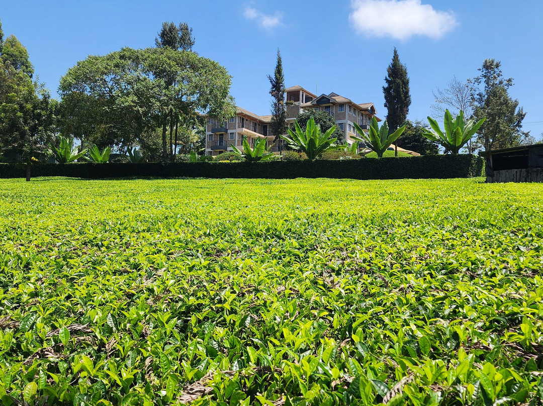 Goshen Farm Hotel主图