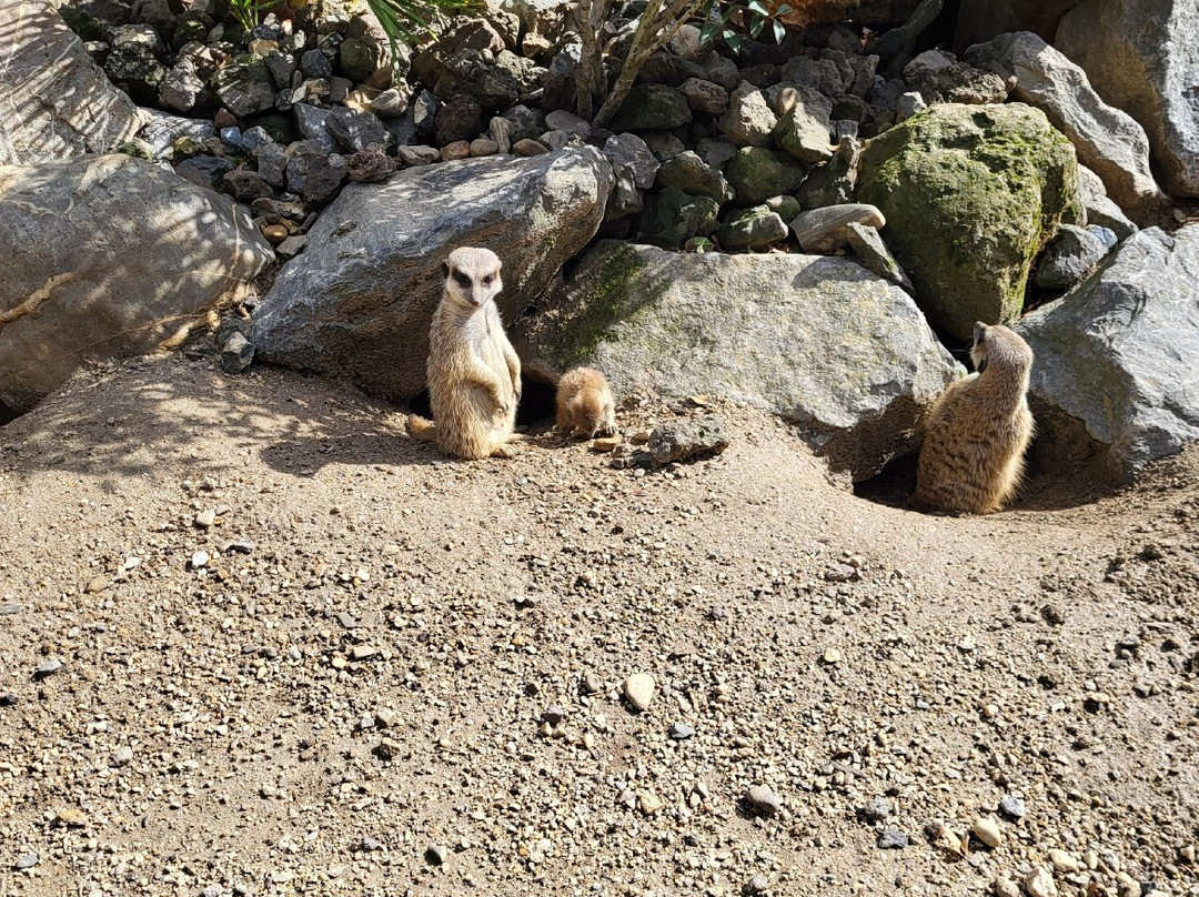 Boerderij Daalhoeve-马斯特里赫特必去景点