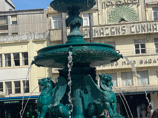 Shuttle Douro Tours-波尔图必去景点