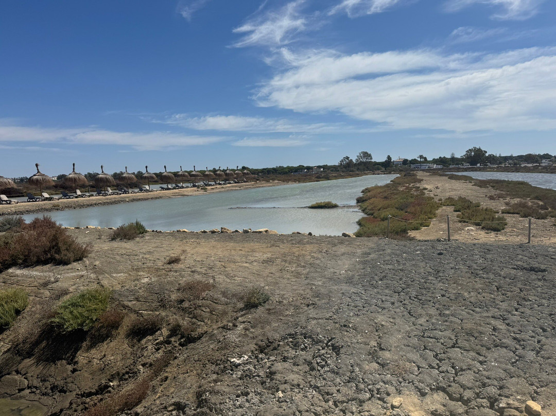 El Estero Salina Santa TeresaC