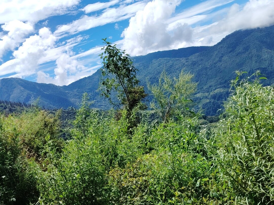 Easy Flight Travel-南吉巴札必去景点