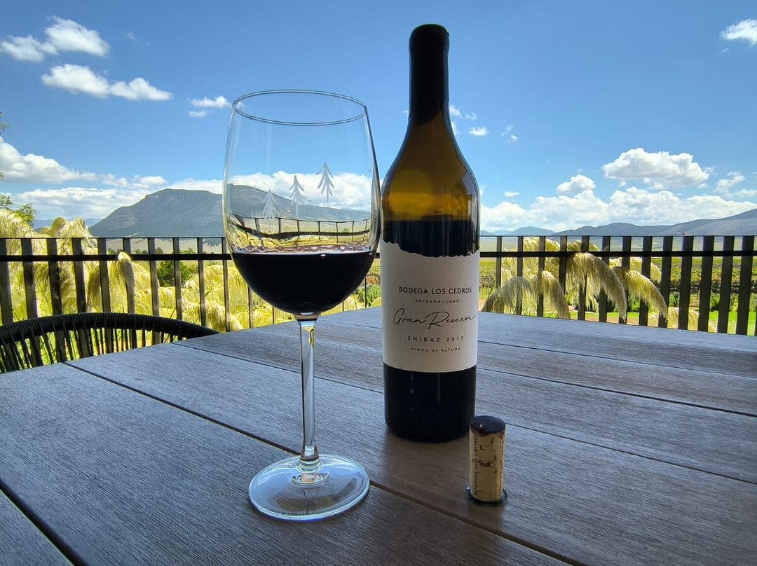 Bodega Los Cedros-Arteaga必去景点