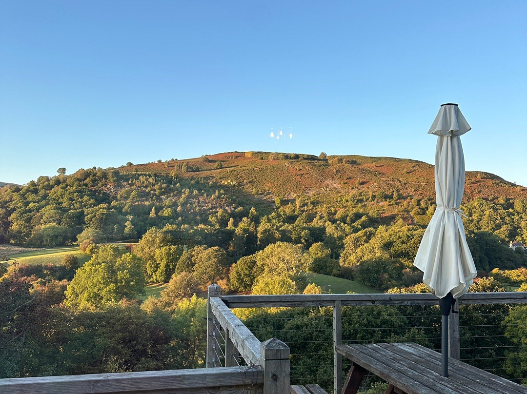 The Berwyn Arms主图