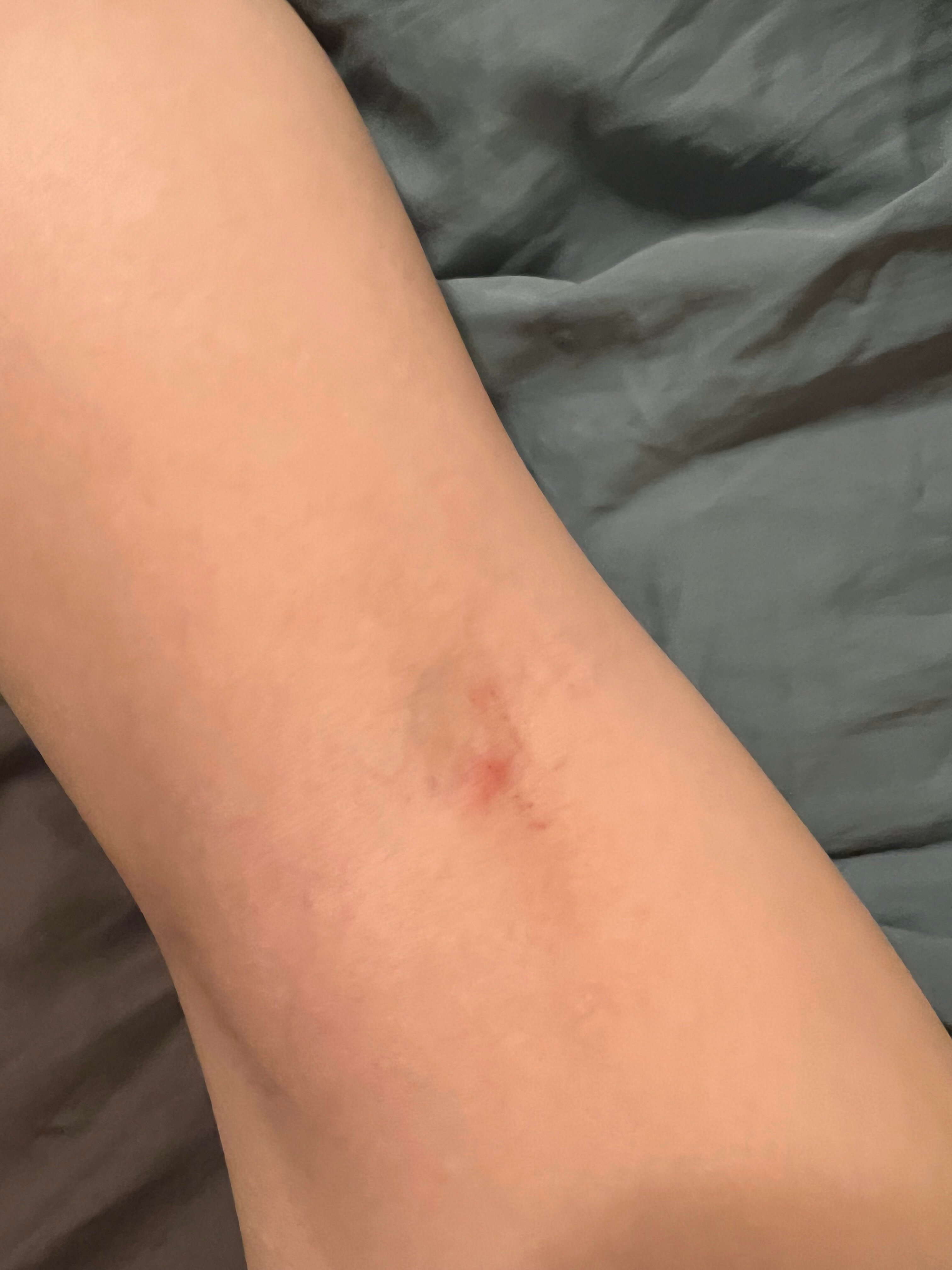 宜必思尚品那慕尔酒店（2021 年 7 月开业）-官方