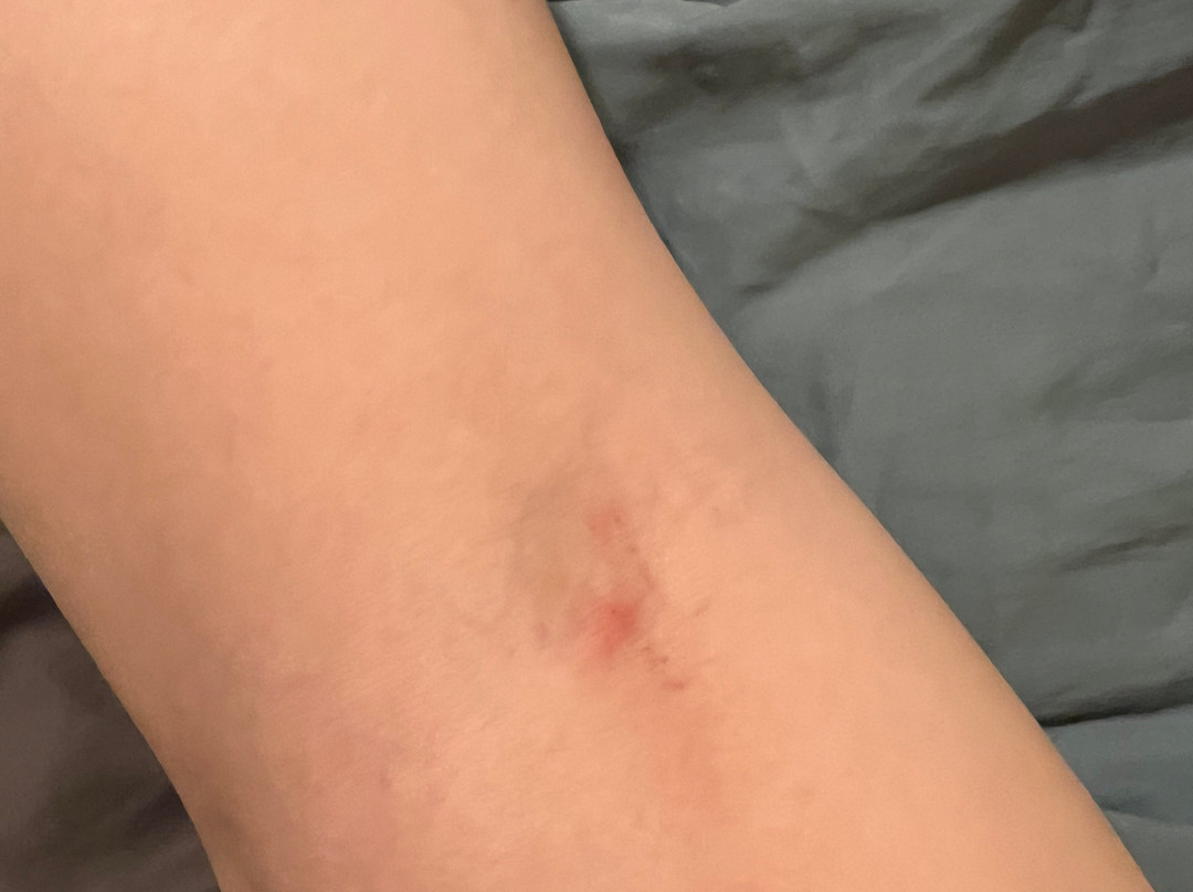 宜必思尚品那慕尔酒店（2021 年 7 月开业）主图