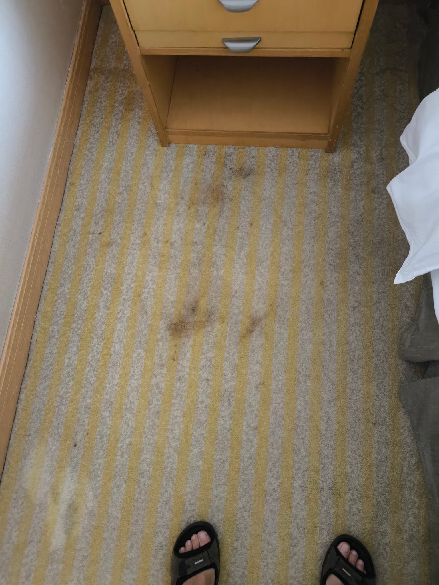 天伦松鹤大饭店-官方