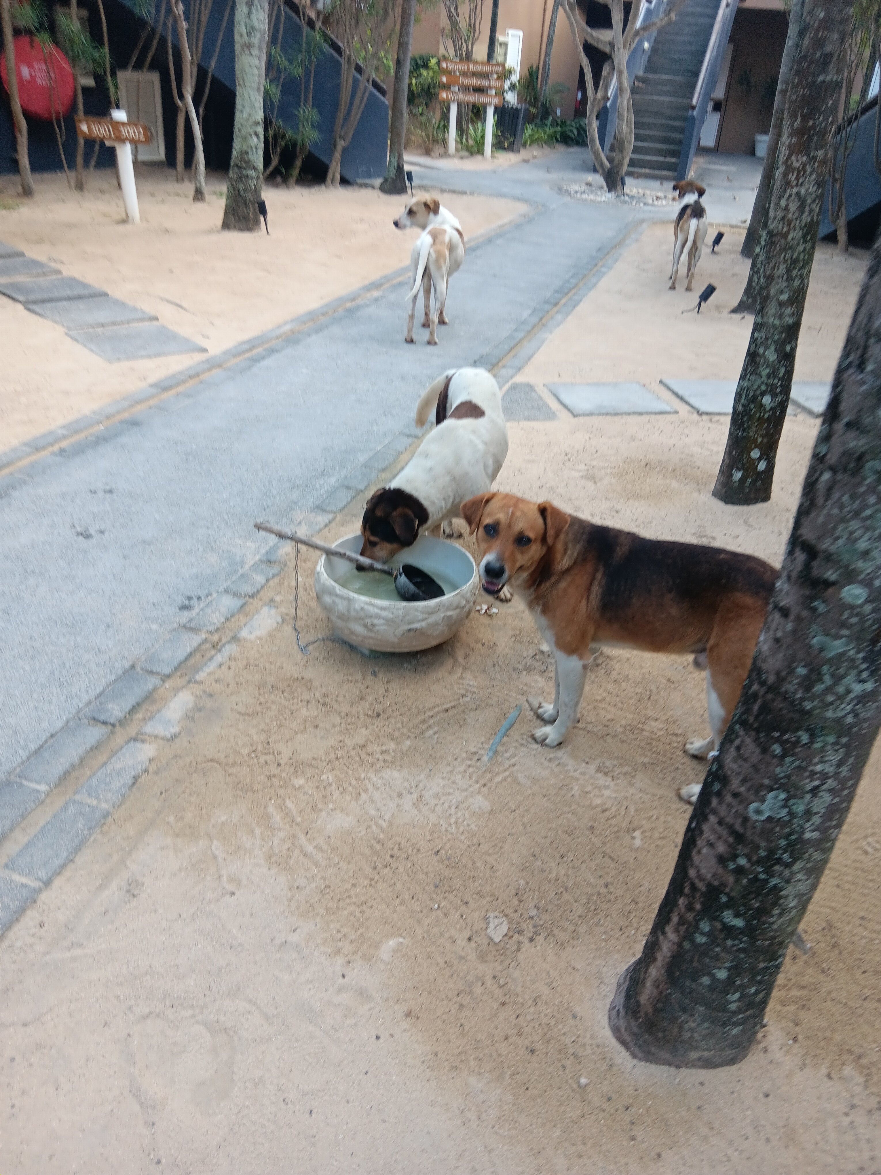 维兰达安碧舍酒店-浴室