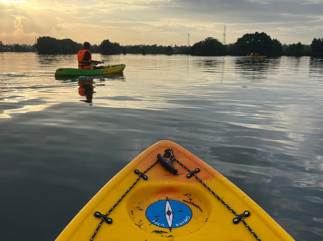 Zebra Kayaks-Munroe Island必去景点