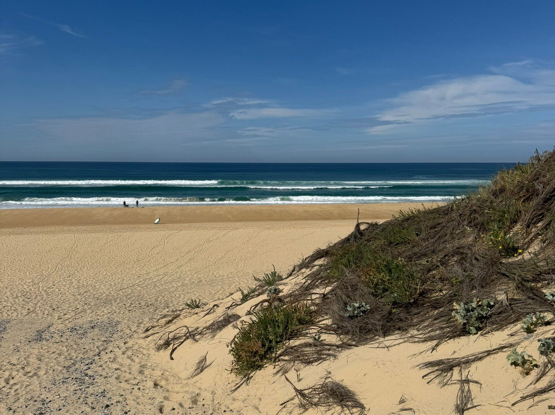 Cap de l'Homy-Lit-et-Mixe必去景点