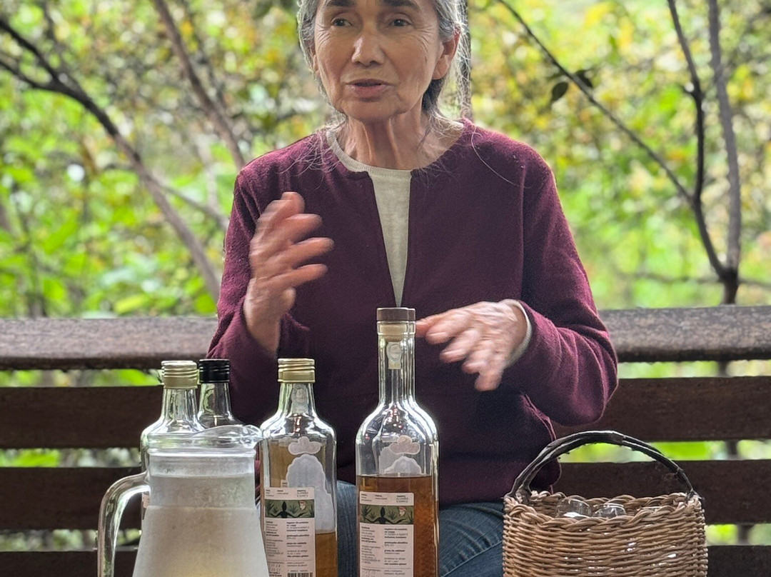 Cachaca Maria Izabel-帕拉地必去景点