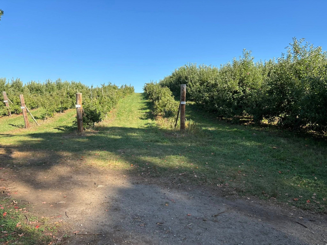 Berlin Orchards-Berlin必去景点