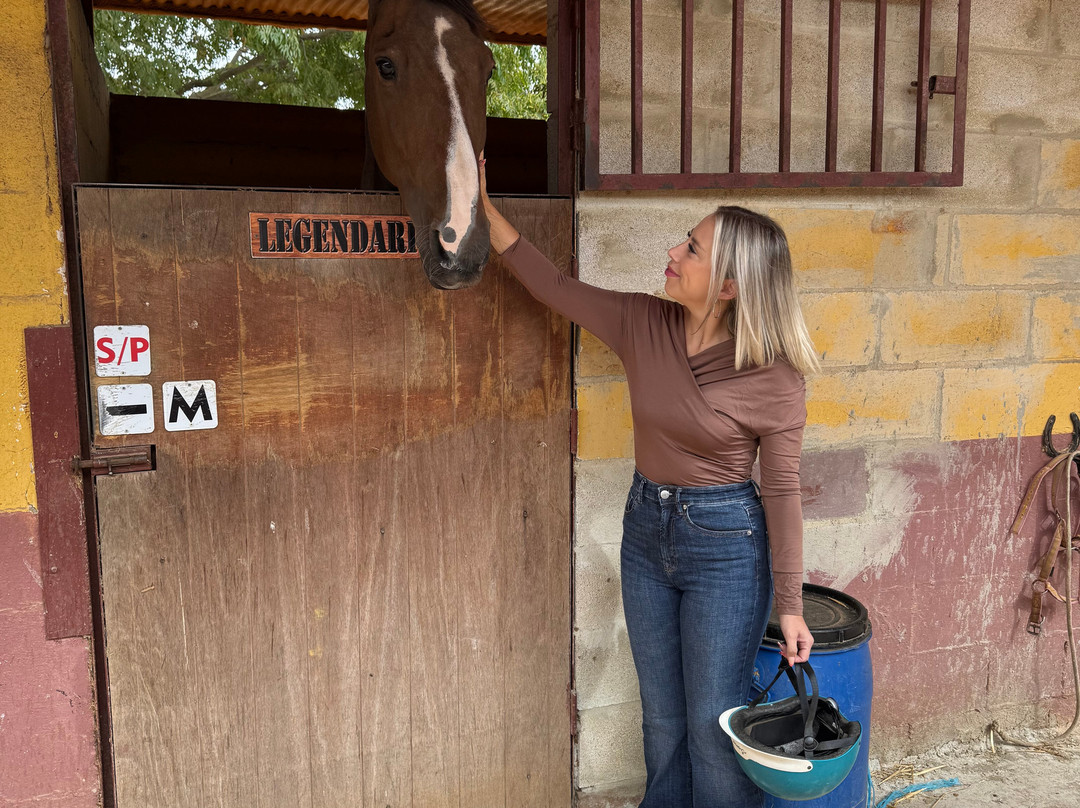 Centro Ecuestre Entrepinares-塞维利亚必去景点
