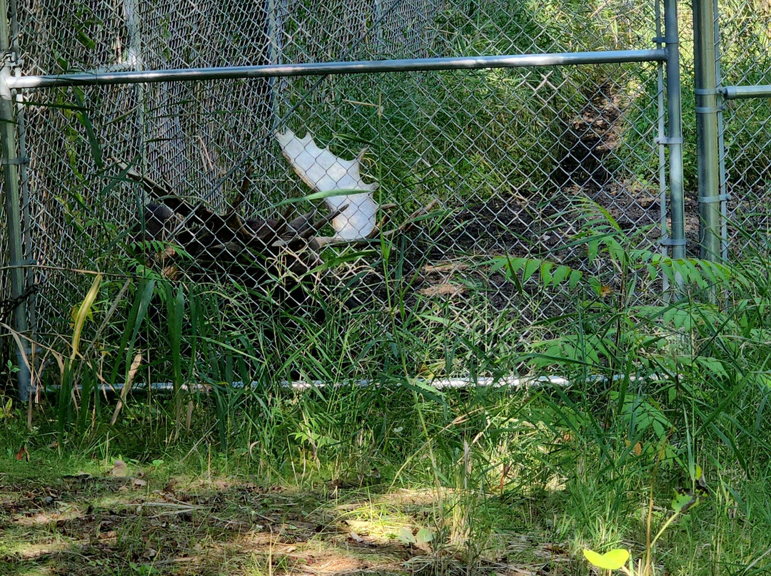 NEW Zoo & Adventure Park-格林贝必去景点