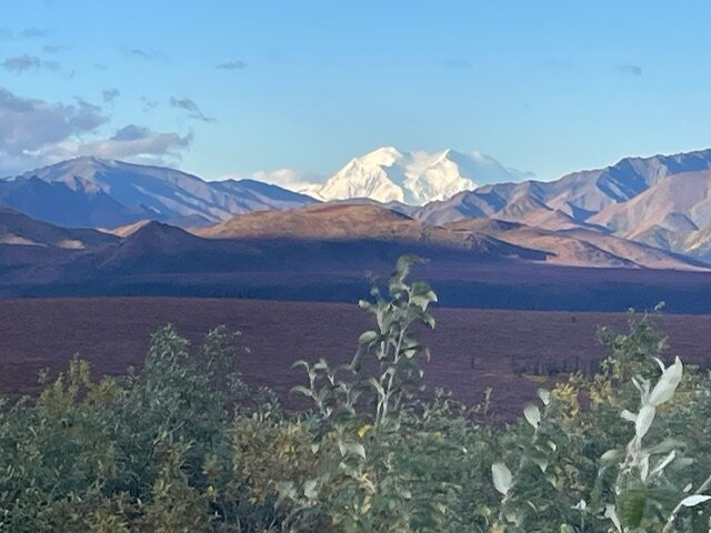 Tundra Wilderness Tour-Denali Park必去景点