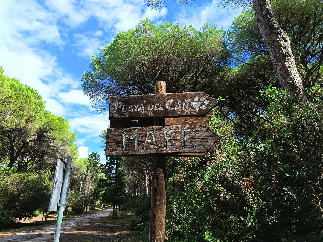 La Feniglia-奥尔贝泰洛必去景点