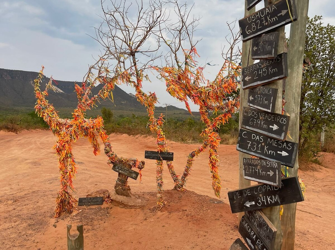 Árvore dos Desejos-Mateiros必去景点