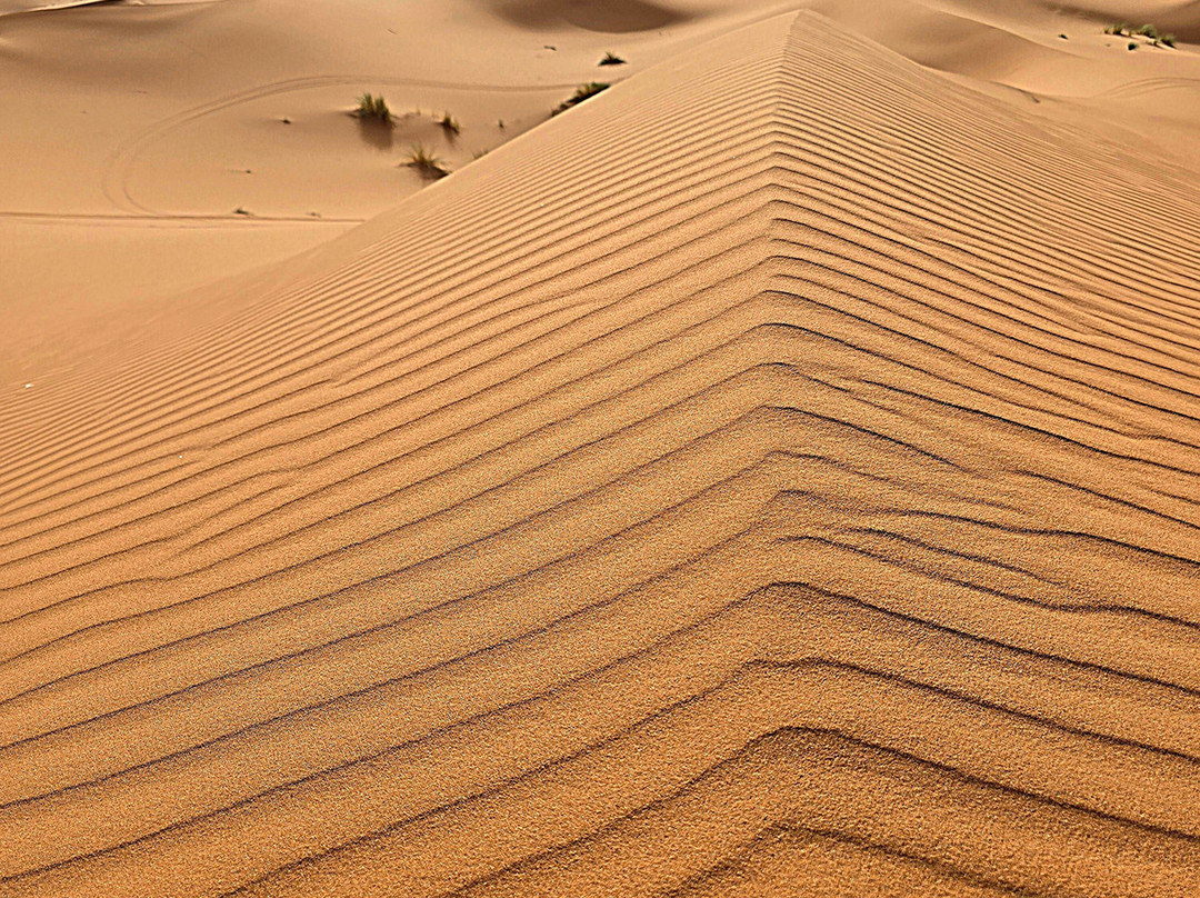 Go Marruecos Travel Tours-丹吉尔必去景点