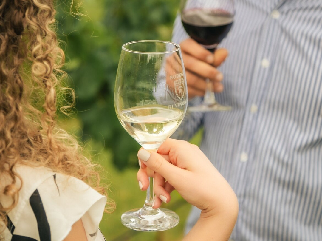 RJ Vinedos-路冉得库约必去景点