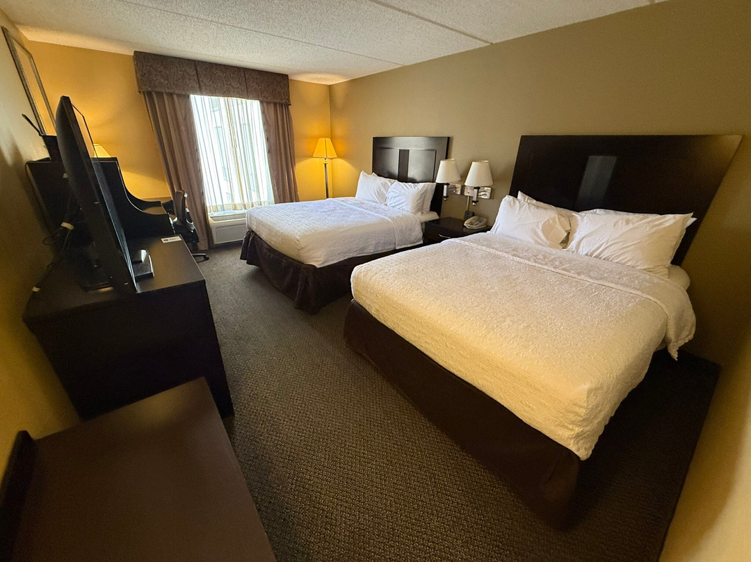 亚历山德里亚希尔顿恒庭旅馆&套房酒店主图