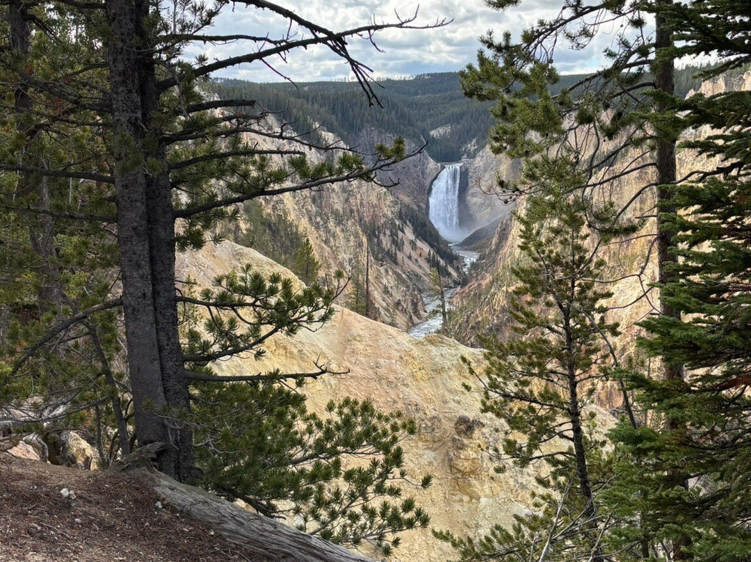 BrushBuck Wildlife Tours-杰克逊必去景点