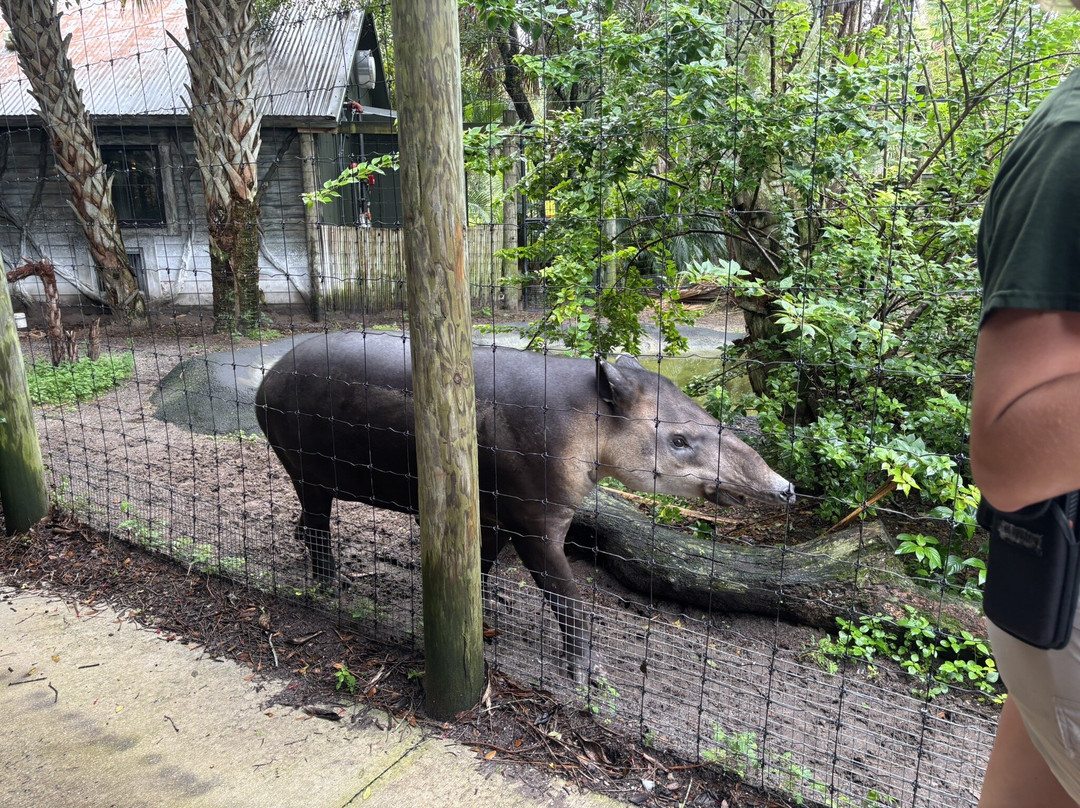 Brevard Zoo-墨尔本必去景点