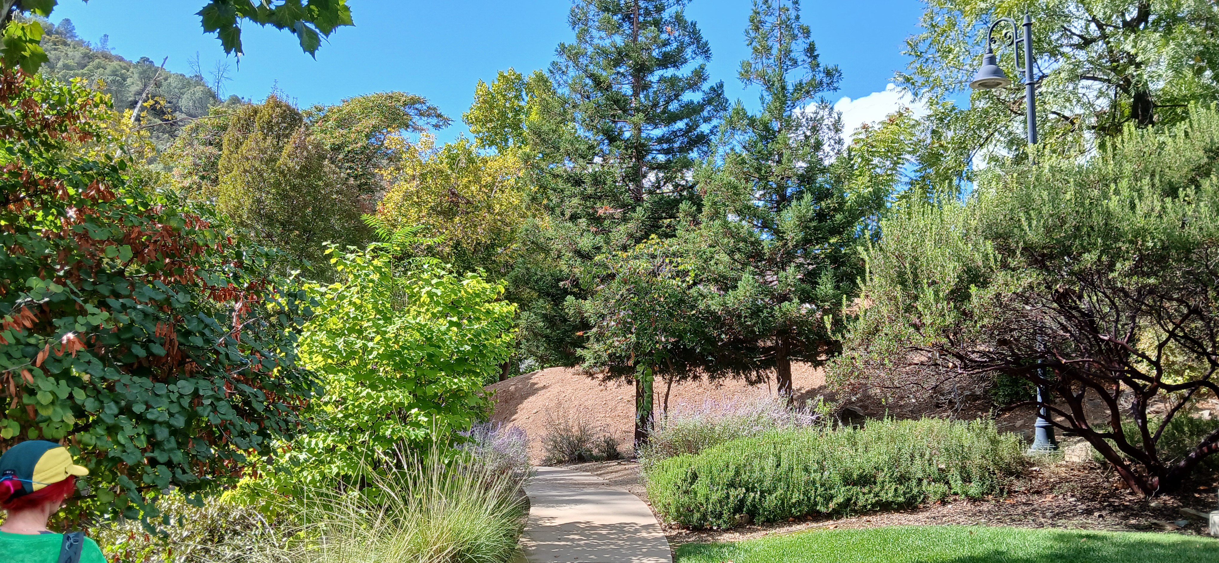 第5街酒店-官方