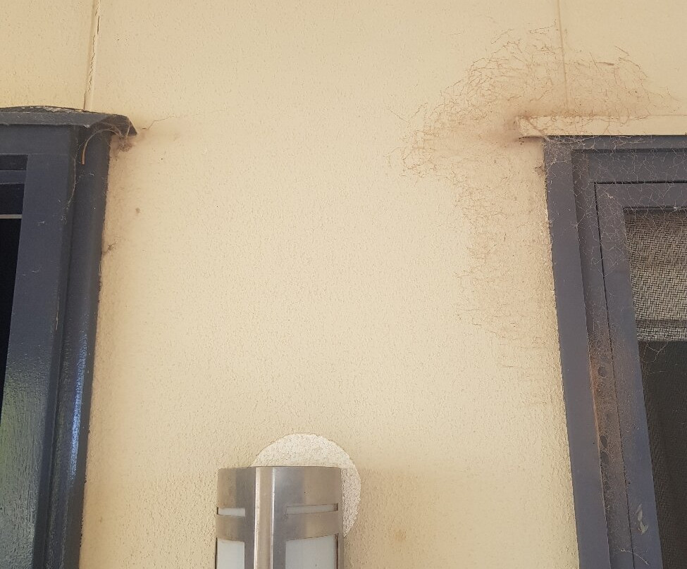 Comfort Inn & Suites Augusta Westside主图