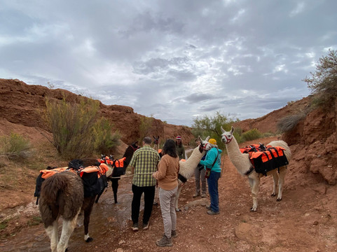 Wilderness Ridge Adventures-托里必去景点