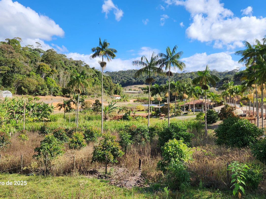 Vila Da Ormy-多明戈斯-马丁斯必去景点