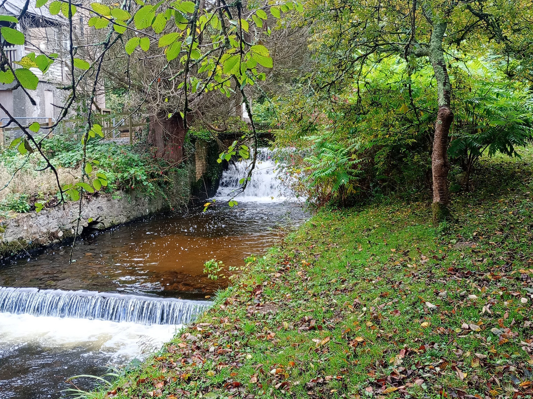 Parc Glynllifon-卡那封必去景点