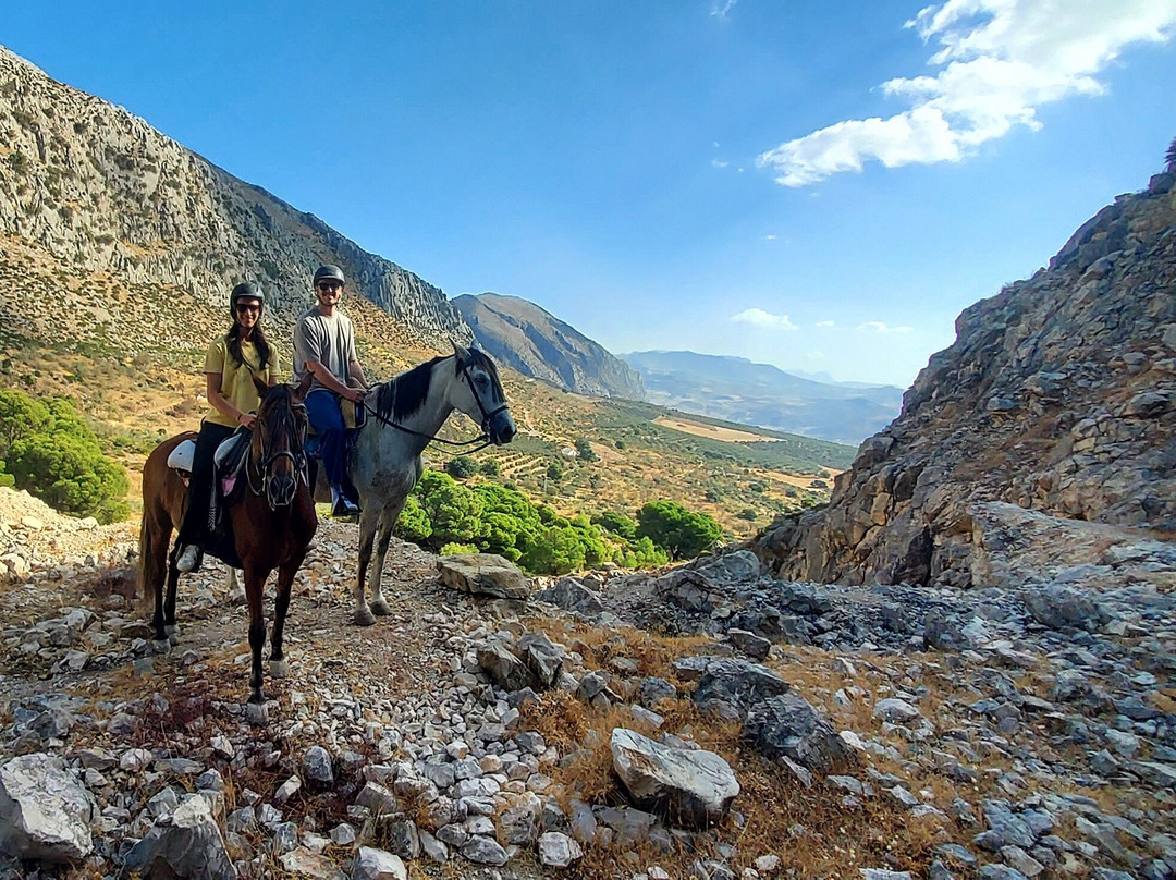 Horse Riding El Chorro-El Chorro必去景点