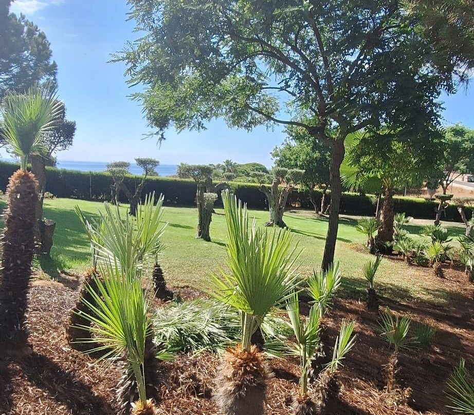 Kimpton Atlântico Algarve by IHG主图