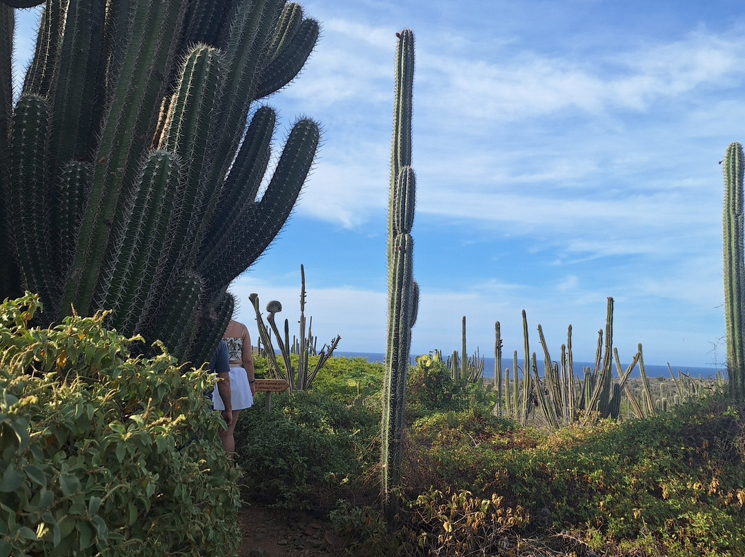Alto Vista Winery-Noord必去景点
